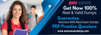 Amazon DAS-C01 AWS Certified Professional Learning Material