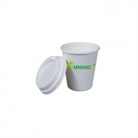 Biodegradable Bagasse Cup33
