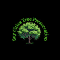 Bay Cities Tree Preservation