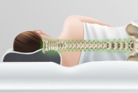 Derila Pillow Review: A New Era in Sleep Comfort and Spinal Support
