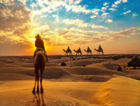 Rajasthan Tour Packages 2024 | Family and Group!
