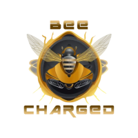 Mobile Electric Car Charging Service Dallas