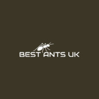 Ant Farm Kits with Ants