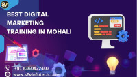 Best digital marketing course in Mohali