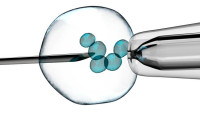 How much does it cost to have a baby by IVF?