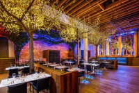 best restaurant in Nelson NZ - Lone Star