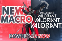 best valorant scripting software