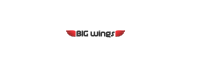 BIG wings