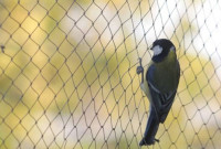Balcony Safety Nets Chennai