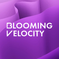 Blooming Velocity Marketing Agency