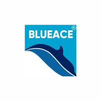 Heat Pump Installation Services in Delhi | Blueace India Limited