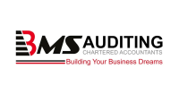 Auditing service in UAE
