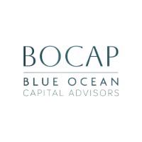 Blue Ocean Capital Advisors Ltd