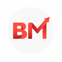 Brand Make | ROI Driven Digital Marketing Agency in Pune