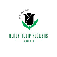 BLACK TULIP FLOWERS - Order Online Flowers and Get Fast Delivery in Dubai, UAE