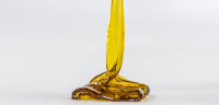Buy Shatter Online