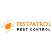 Possum Removal Brisbane