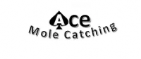 Ace Mole Catching