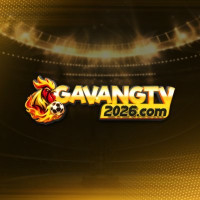 Gavangtv - Link xem trực tiếp bóng đá World Cup miễn phí 2026 tại Gà Vàng TV