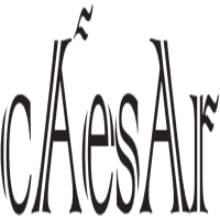 Caesar Door Control Co., Ltd.