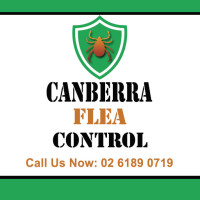 Canberra Flea Control