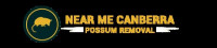 Affordable Possum Removal in Canberra