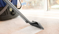 Top Carpet Cleaning Adelaide