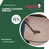 Carpet Cleaning The Ponds