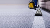 Top-Rated Carpet Cleaning Company Near You in Houston | Quick & Affordable