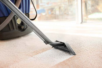 Green Carpet Cleaning Adelaide