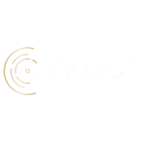 Catalyst Group Solutions