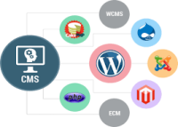 CMS Development Companies – Professional Solutions for Your Business