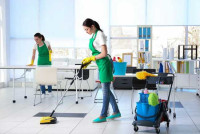 palmera cleaning