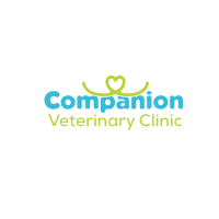Companion Veterinary Clinic Dubai
