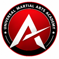 Martial Arts Training in Dubai | Academy with certification
