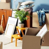 Best Option Restoration of Lakewood