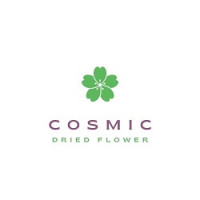COSMICDRIEDFLOWER