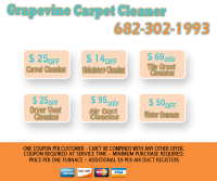 Grapevine TX Carpet Cleaner