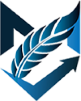website development company in usa