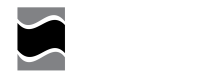 River Avenue Digital