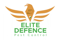 Pest Control Services in Abu Dhabi UAE