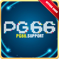 pg66support