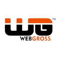 Best Digital Marketing Company in Delhi - Webgross Solutions