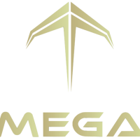 Private Jets in Dubai – Luxury & Excellence with MEGA