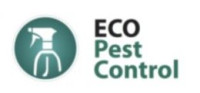 Pest Control In Braamfontein - Eco Pest Control