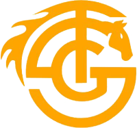 Stockholm General Trading Co. LLC