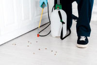 Pest Control Castle Hill
