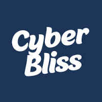 Buy Window 11 Pro Product Key At Cyberbliss