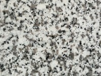 Bianco Sardo Granite Slab31