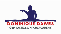 Dominique Dawes Gymnastics & Ninja Academy